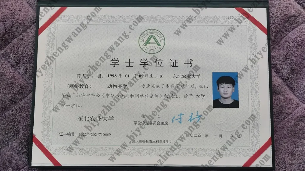 东北林业大学2024年动物医学专业学士学位证样本-(农学学士学位证)