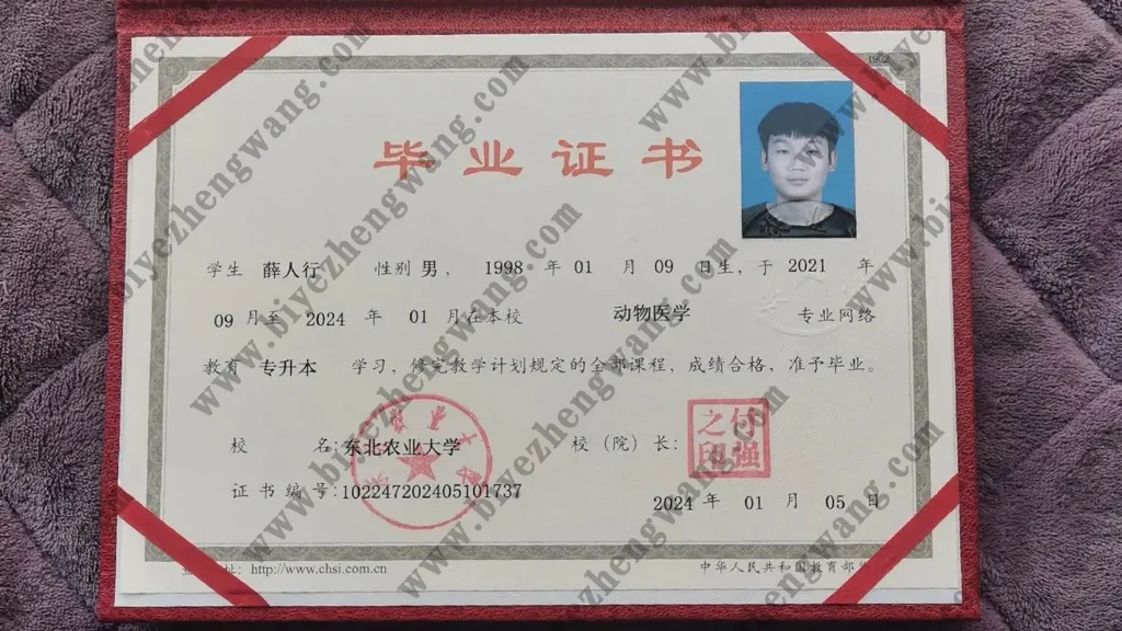东北林业大学本科毕业证样本-(2024年版-动物医学专业)