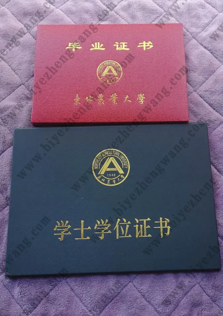 东北林业大学毕业证书和学士学位证书封面