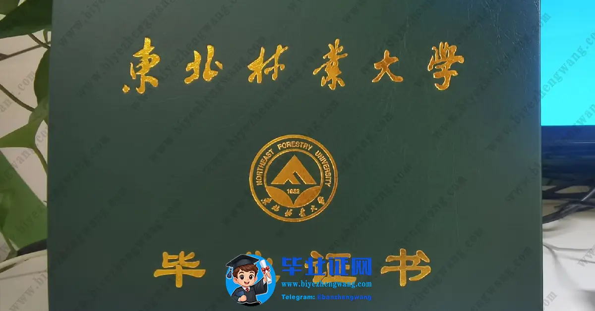 东北林业大学毕业证硕士学士学位证书样本-专版模板