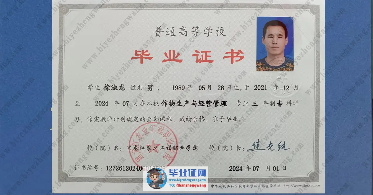黑龙江农业工程职业技术大学毕业证样本-专版模板