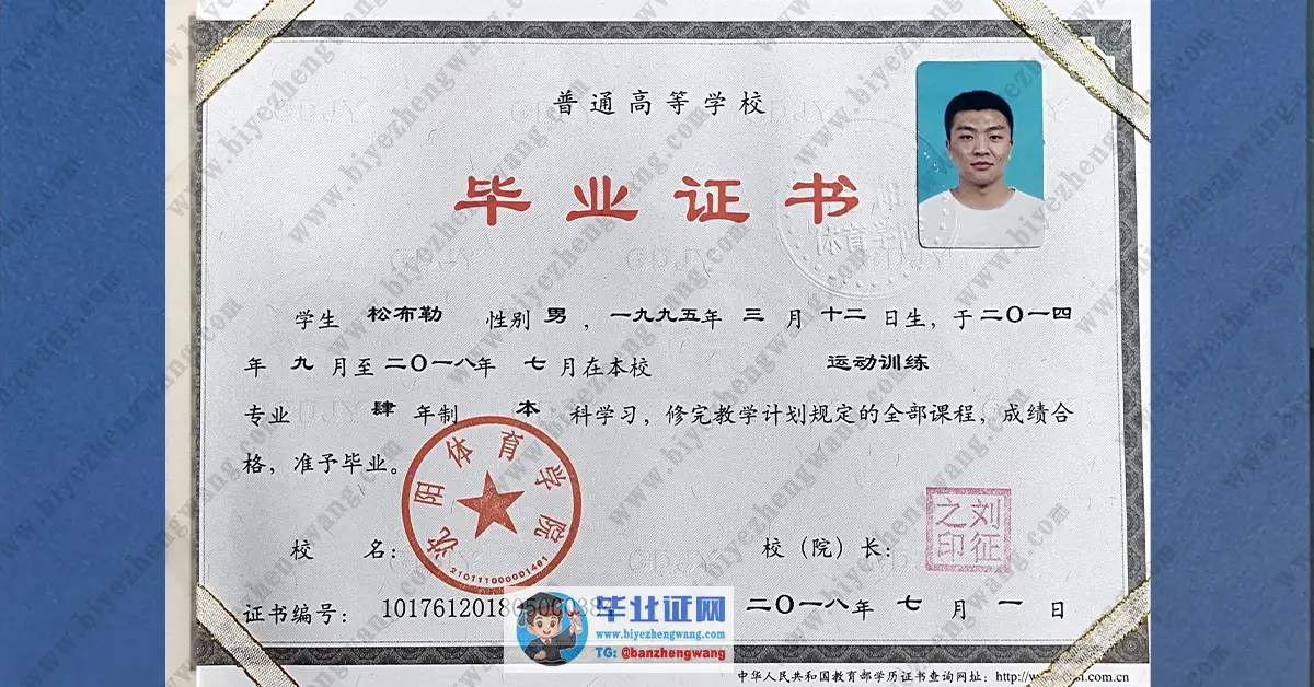 沈阳体育学院毕业证学士学位证书样本-模板展示