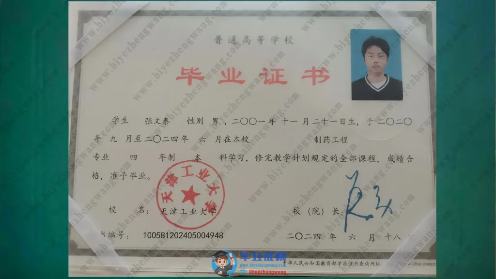 天津工业大学制药工程专业本科毕业证模板