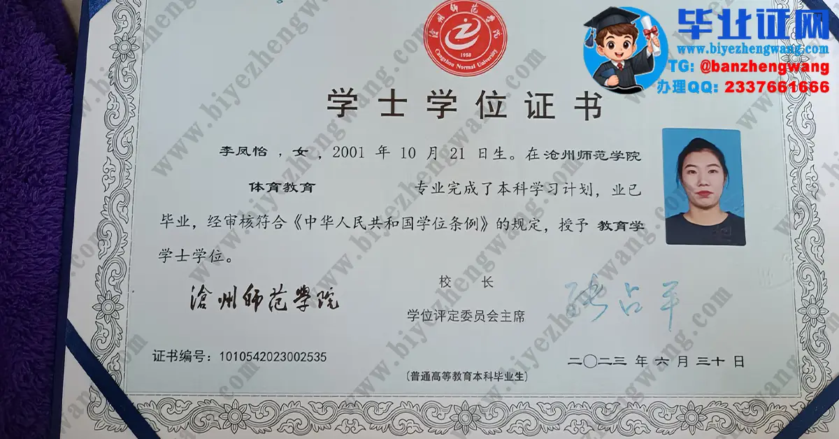沧州师范学院本科毕业证/学位证和教师资格证定制设计高清模板展示（2023届）