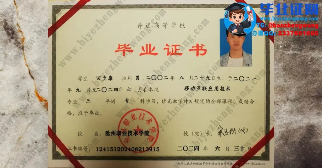 沧州职业技术学院毕业证定制-2024届移动互联应用技术专业三年制专科毕业证高清样本