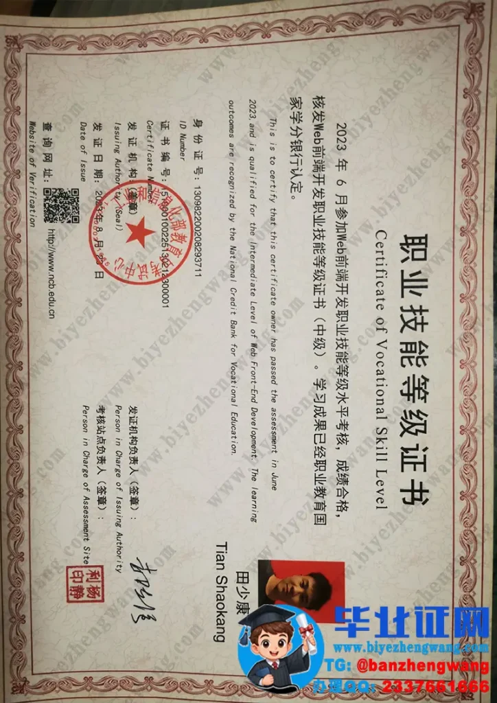 沧州职业技术学院职业技能等级证书高清专版模板