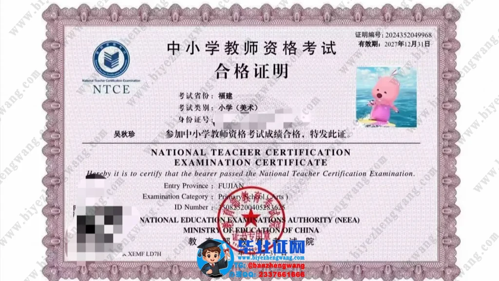 福建华南女子职业学院小学美术中小学教师资格证专版模板展示