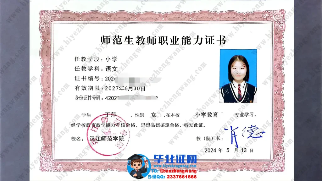 汉江师范学院2024届小学教育专业教师职业能力证书专版模板定制