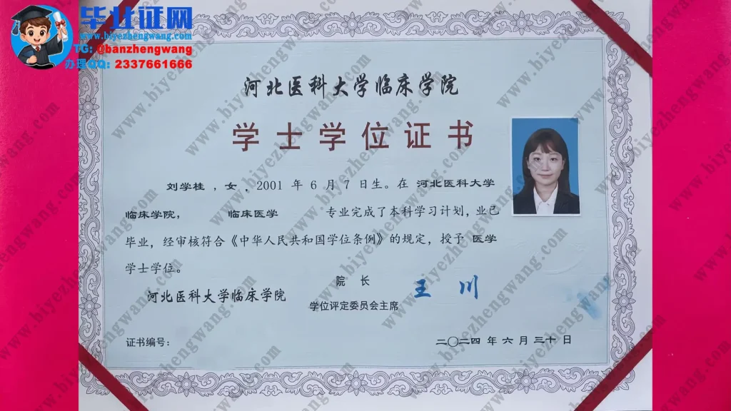 河北医科大学临床学院2024届临床医学专业医学学士学位证高清模板图
