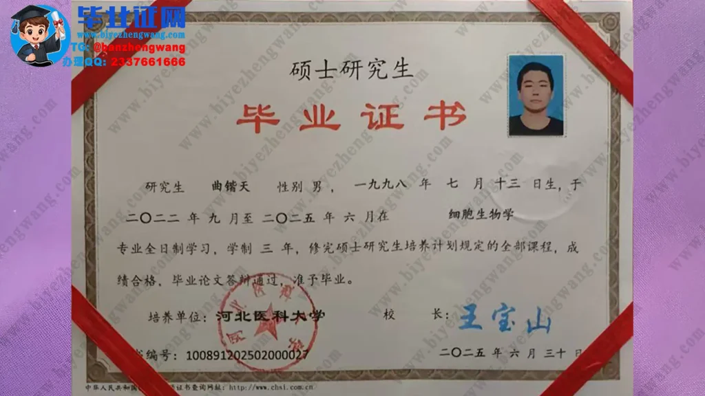 河北医科大学2025届细胞生物学专业三年全日制硕士研究生毕业证书高清样本
