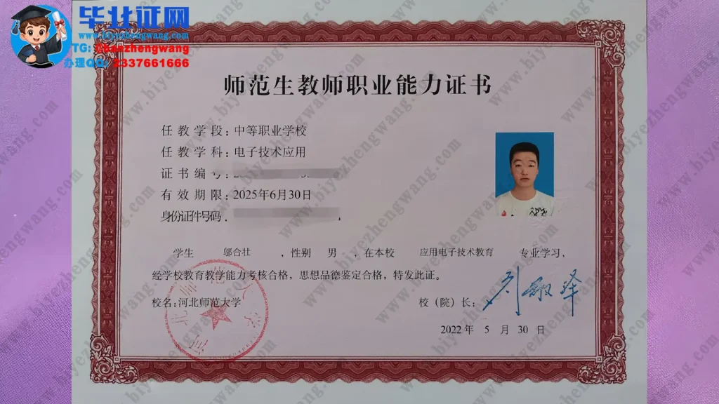 河北师范大学师范生教师职业能力证书专版模板定制设计