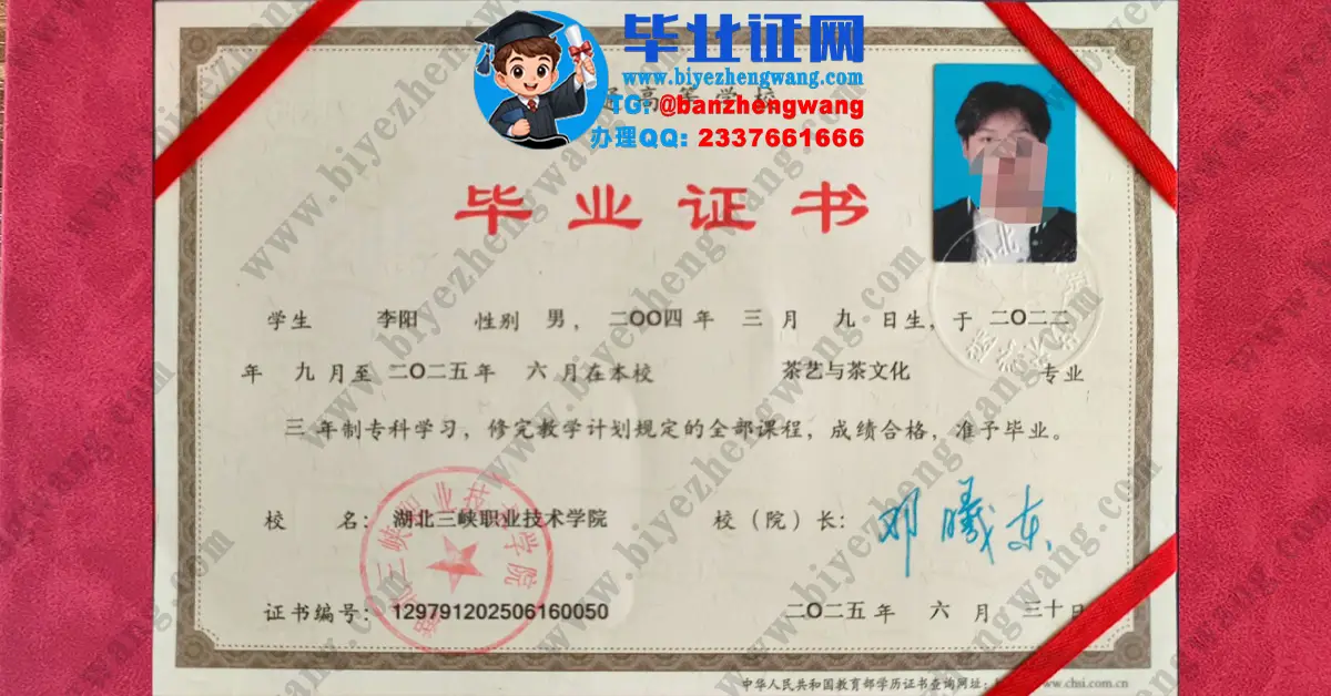 湖北三峡职业技术学院毕业证及英语英语能力考试高清专版模板展示