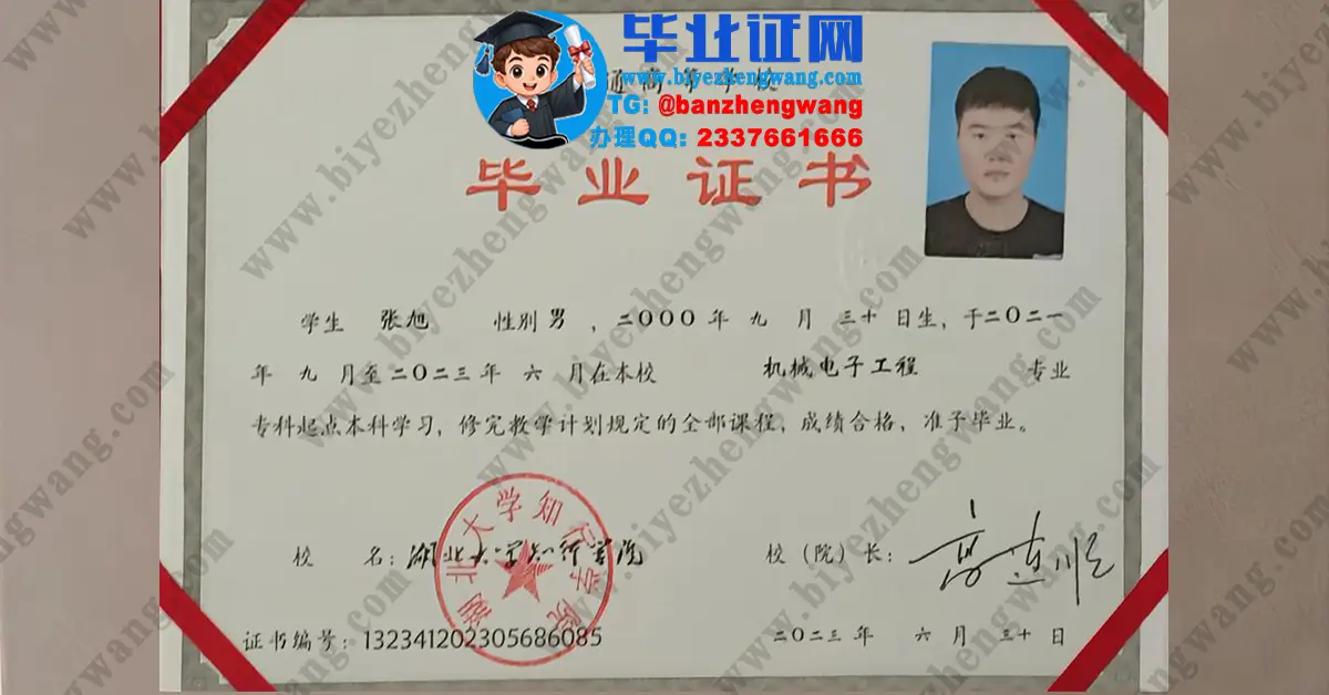 湖北大学知行学院本科毕业证/学位证专版模板展示及防伪参考样例