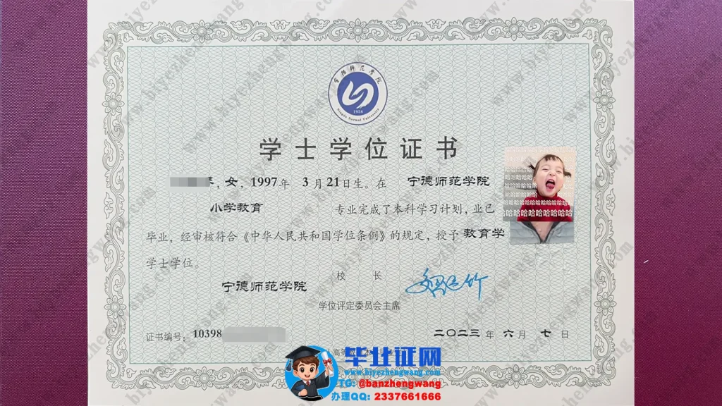 宁德师范学院2023届教育学学士学位证样本-小学教育专业高清模板