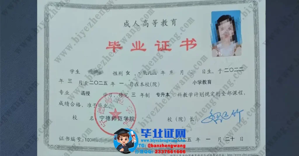 宁德师范学院小学教育专业函授专升本毕业证样本