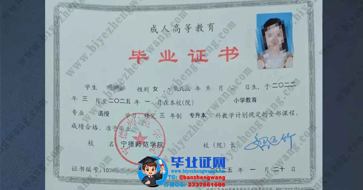 宁德师范学院小学教育专业函授专升本毕业证样本