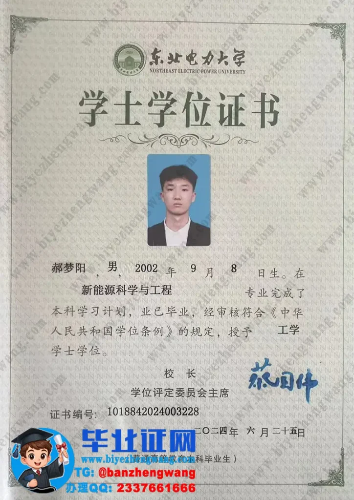 东北电力大学​2024届新能源科学与工程专业工学学士学位证高清样板图-丢失怎么办？