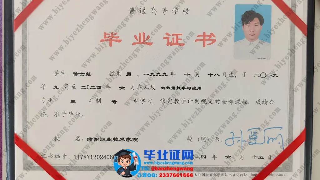 濮阳职业技术学院2024届大数据技术与应用专业三年制专科毕业证样本