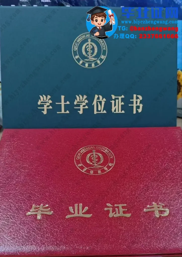 齐鲁医药学院毕业证外壳定制设计