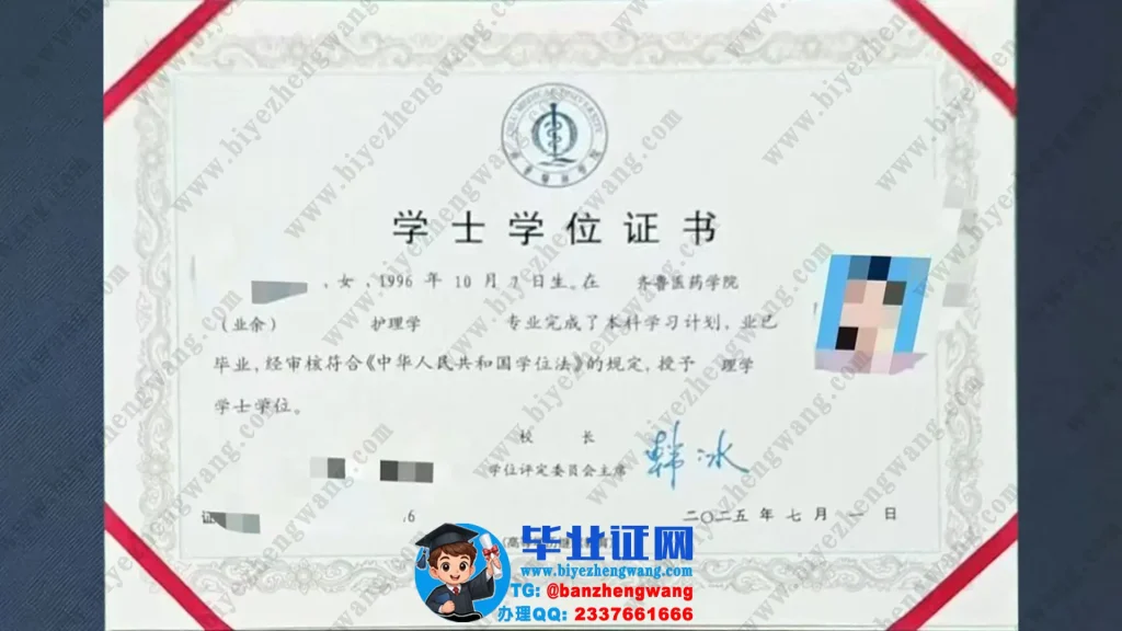 齐鲁医药学院2025届护理学专业理学学士学位证专版模板展示