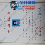 齐鲁工业大学2024届数字媒体艺术专业四年制本科毕业证高清模板