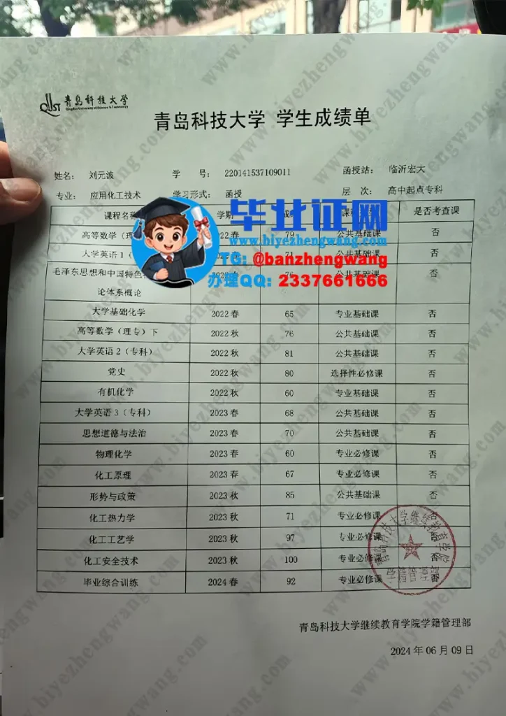 青岛科技大学2024届应用化学技术成绩单样本定制