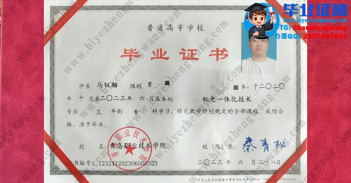 青岛职业技术学院2023届机电一体化专业三年制专科毕业证高清模板