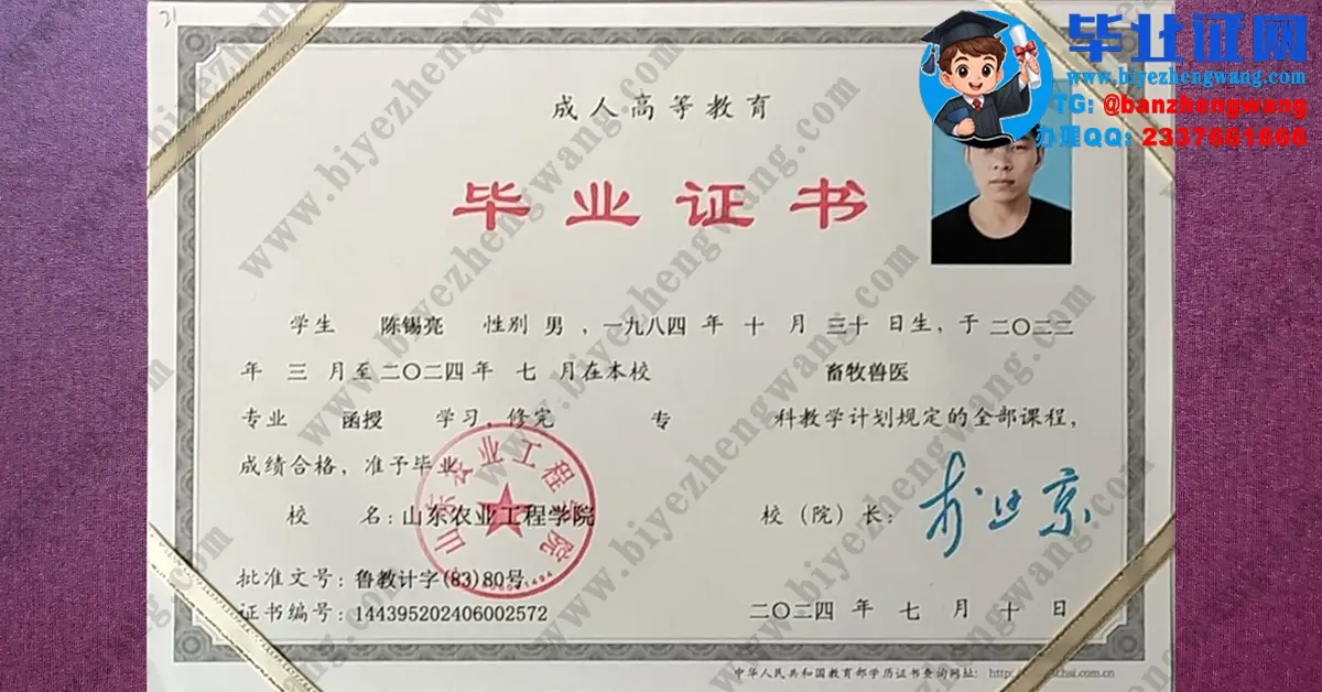 山东农业工程学院2024届专科毕业证/学位证/成绩单高清专版模板展示和防伪参考