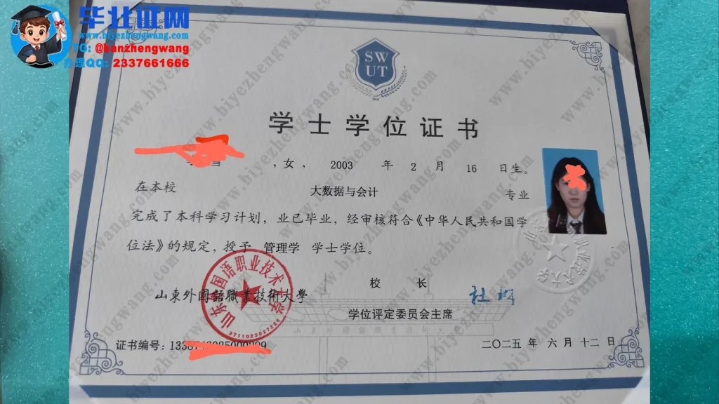山东外国语职业技术大学2025届大数据与会计专业管理学学士学位证专版高清图
