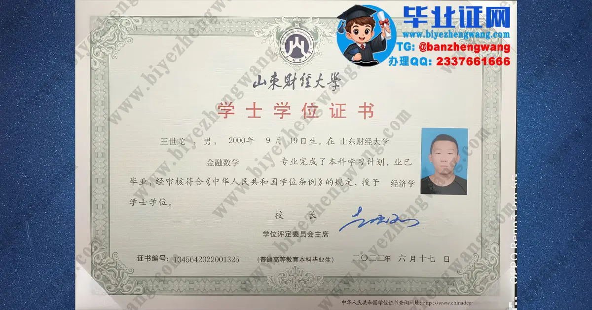 山东财经大学2022届金融数学专业经济学学士学位证高清专版模板