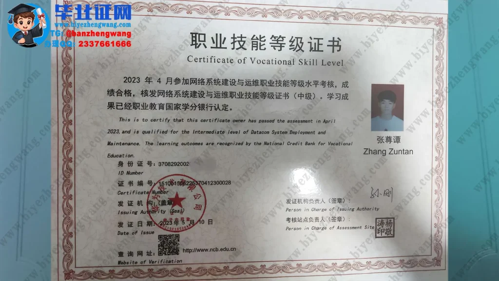 山东水利职业学院职业技能等级中级证书专版高清模板
