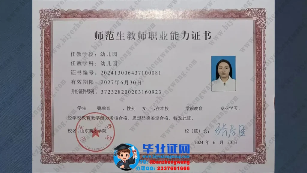 山东英才学院2024届教师职业能力证书高清专版模板定制