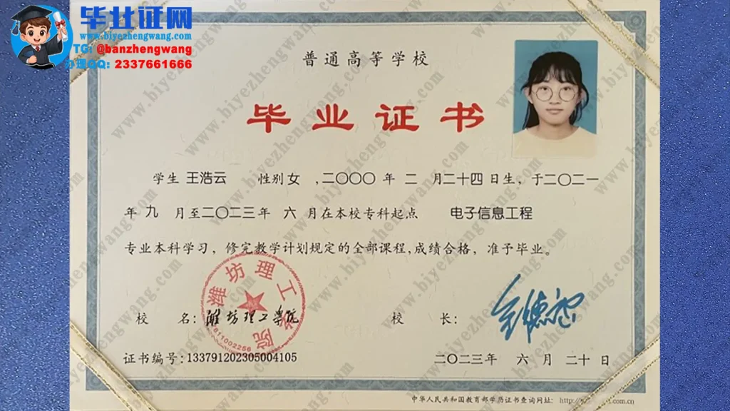 潍坊理工学院毕业证样本-2023届电子信息专业本科毕业证高清模板