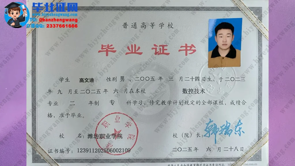 潍坊职业学院毕业证样本-数控技术专业专科毕业证高清模板