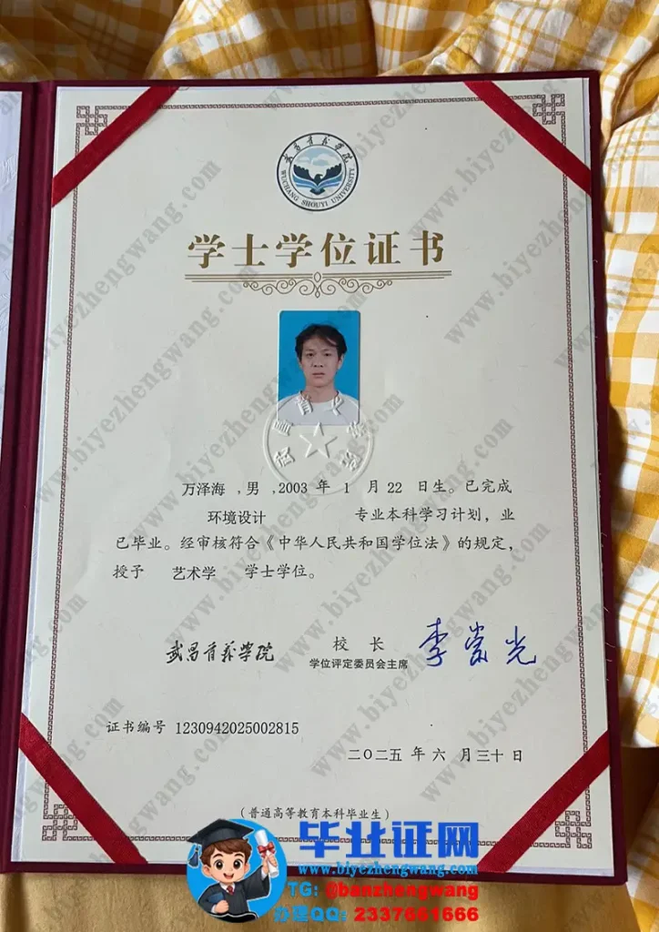 武昌首义学院2025届环境设计专业艺术学学士学位证专版模板