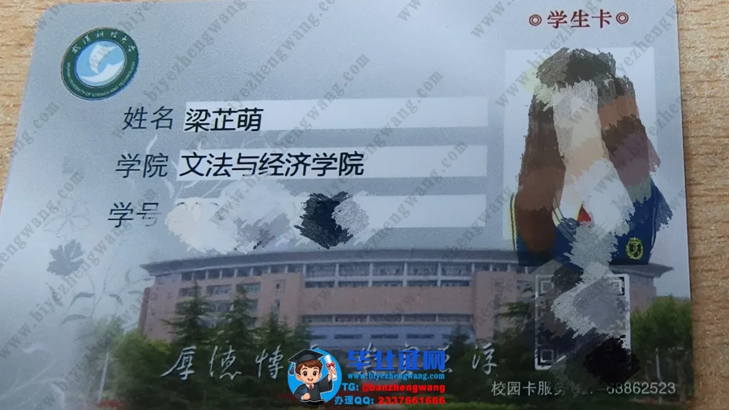 武汉工程大学学生卡样本模板设计