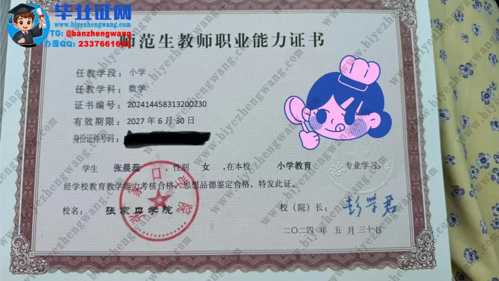 张家口学院小学教育专业教师职业能力证书专版模板