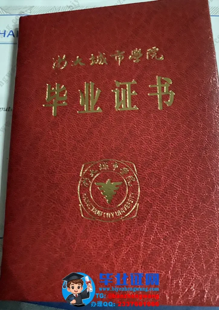 浙大城市学院（Hangzhou City University，简称"浙大城院"/HZCU）是杭州市人民政府举办的全日制公办普通本科高校，前身为1999年创办的浙江大学城市学院，2020年经教育部批准转设为公办，由杭州市政府与浙江大学共建支持，目标"十年创百强"。