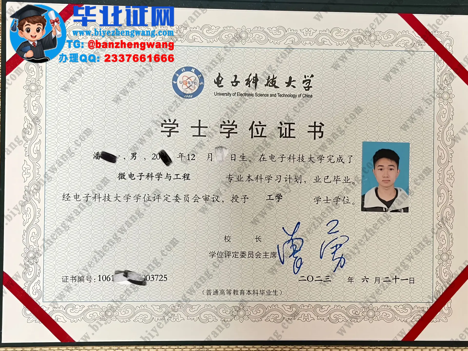 电子科技大学历届本科/硕士/博士研究生毕业证/学位证专版模板图片（2024-2025届样本）
