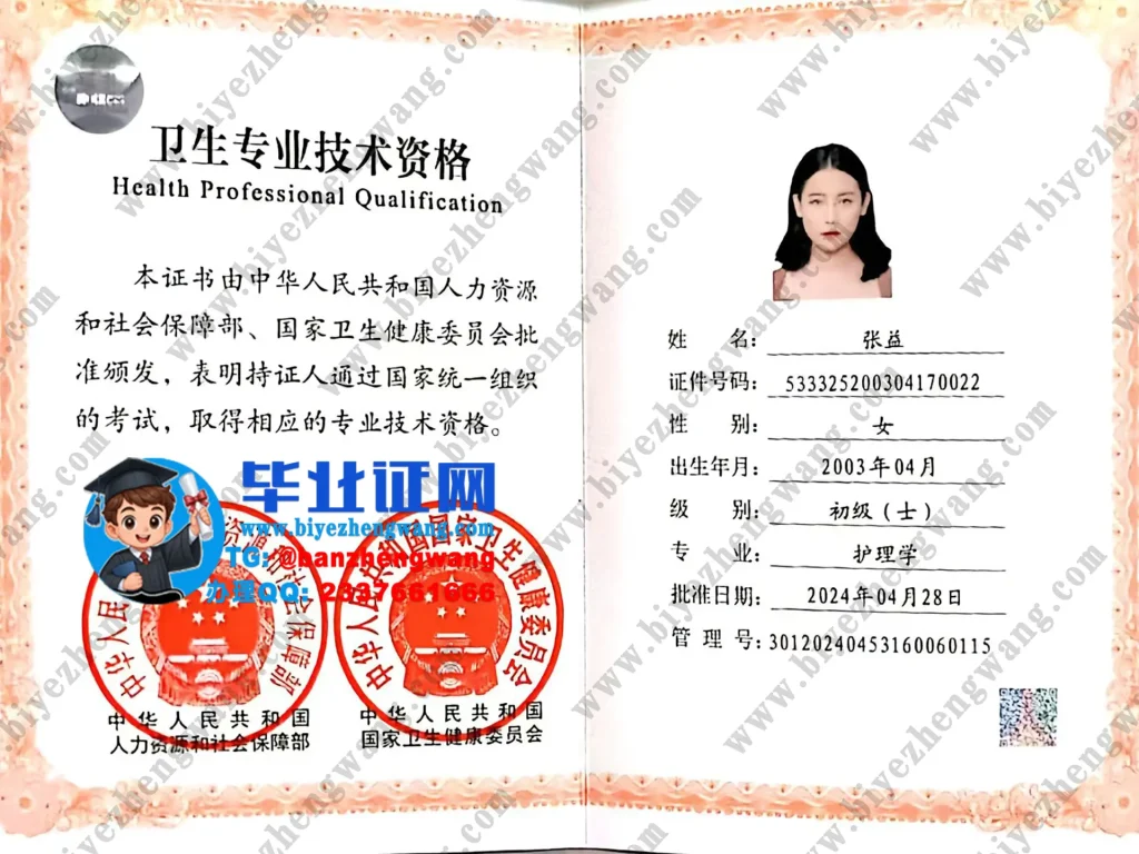 保山中医药高等专科学校初级护士卫生专业技术资格证专版高清模板