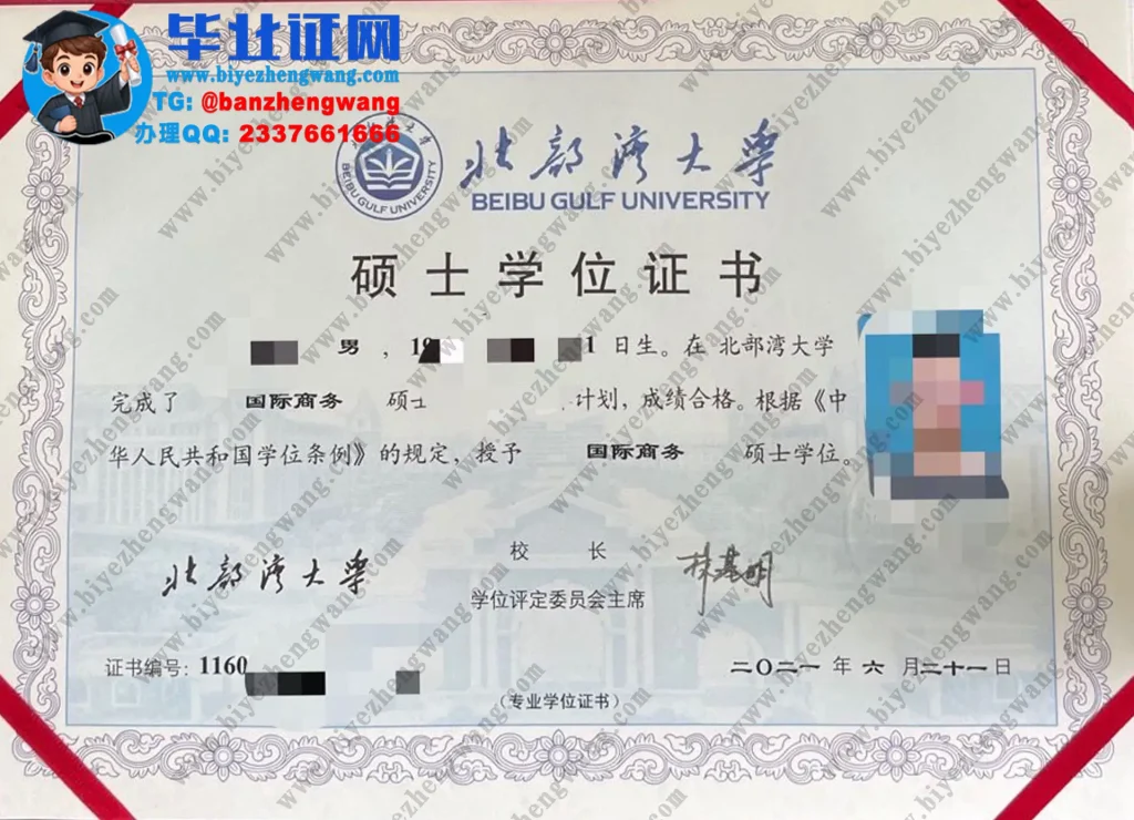北部湾大学2021届国际商务专业国际商务硕士学位证书专版模板