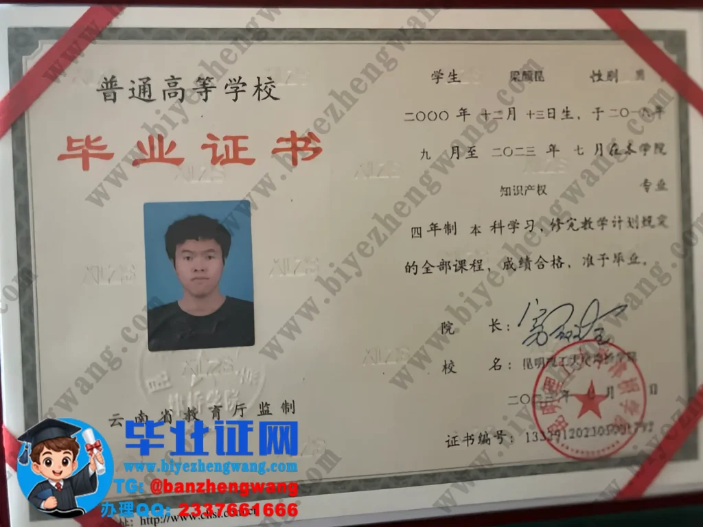 昆明理工大学津桥学院毕业证样本-2023届四年制知识产权专业本科毕业证高清模板图
