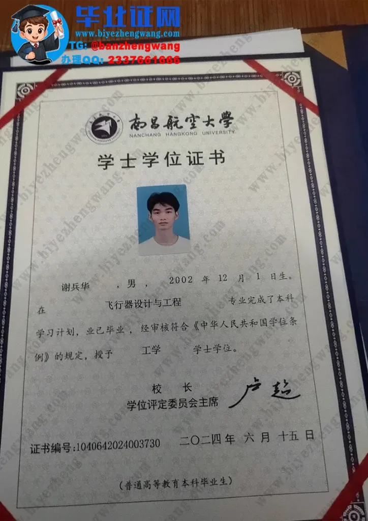 2024届南昌航空大学飞行器设计与工程专业工学学士学位证专版模板