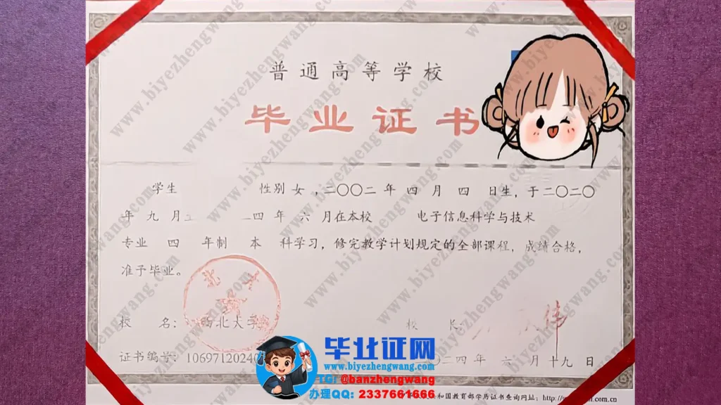 西北大学毕业证样本-2024届电子信息科学与技术专业四年制本科毕业证样板