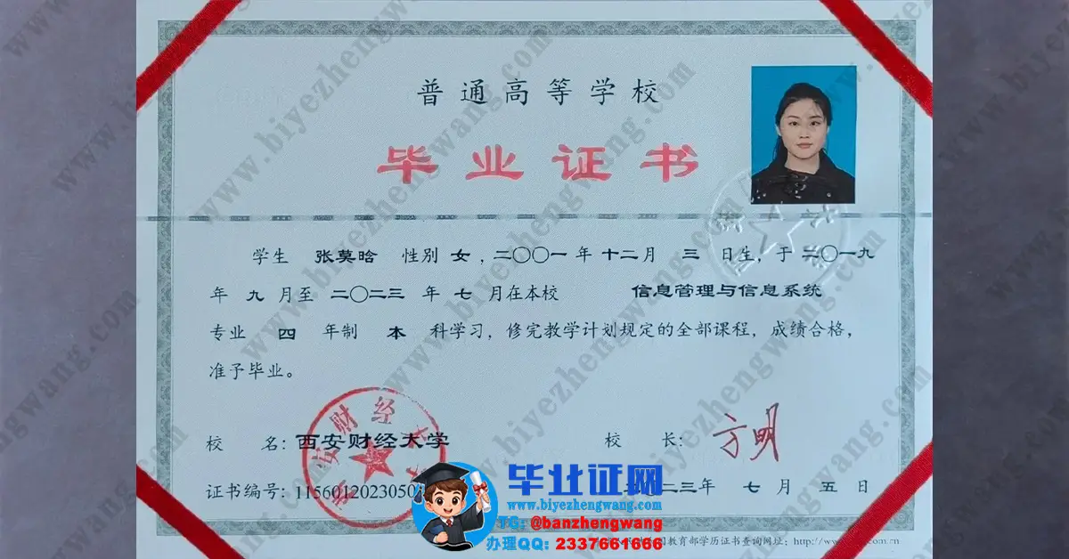 西安财经大学2023届毕业证样本-信息管理与信息系统专业本科毕业证高清模板