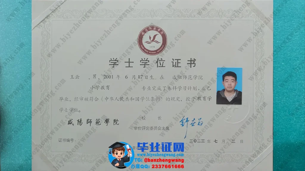 咸阳师范学院2023届小学教育专业教育学学士学位证高清模板