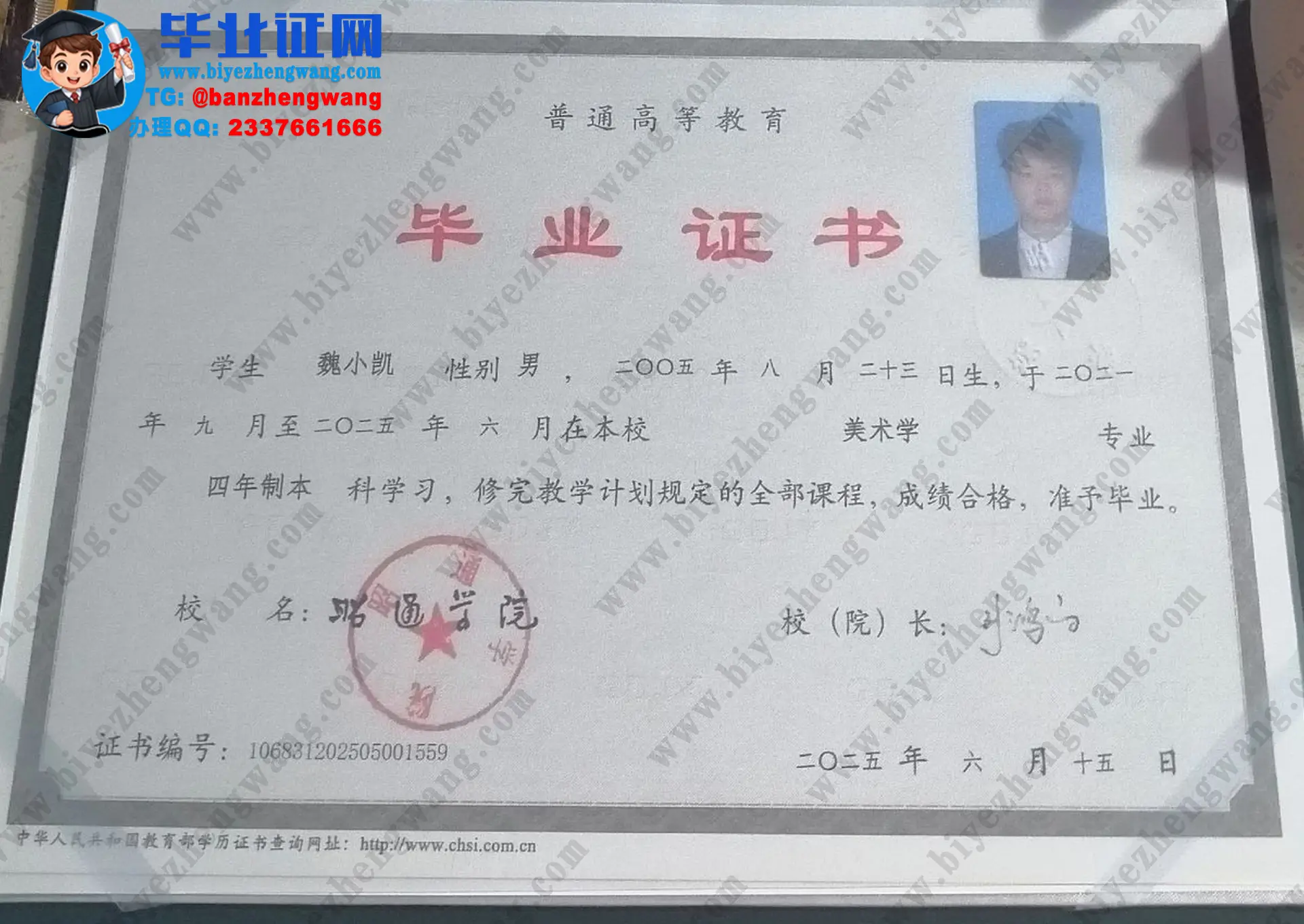 昭通学院2024届本科毕业证/学士学位证样本-高清模板样例