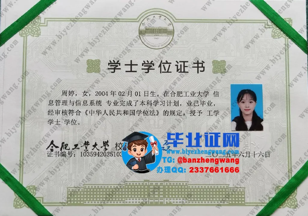 合肥工业大学2025届工学学士学位证专版图片(信息管理与信息系统)