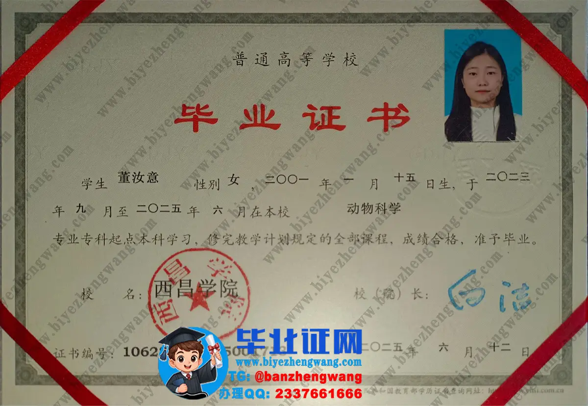 西昌学院2025届成人/本科毕业证/学位证高清图片收集展示样例